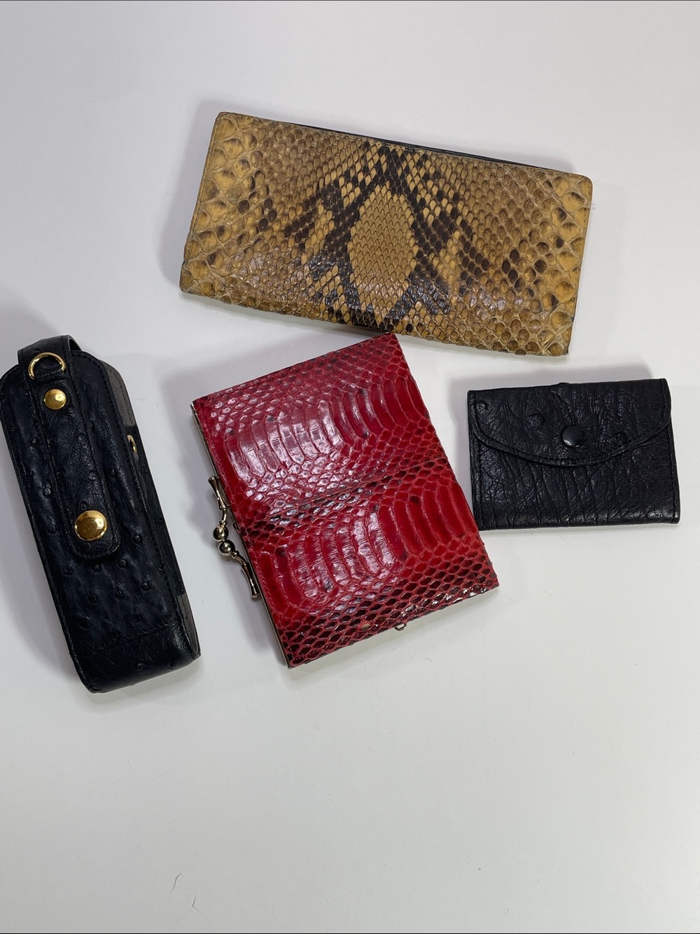 Assorted Exotic Embossed Leather Wallet - Unbranded